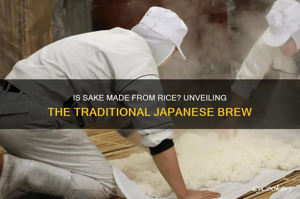 is sake made from rice