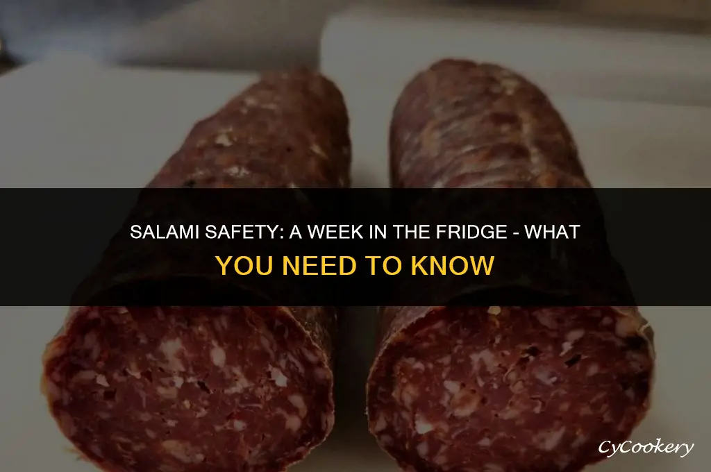 is salami safe to eat after a week refrigerated