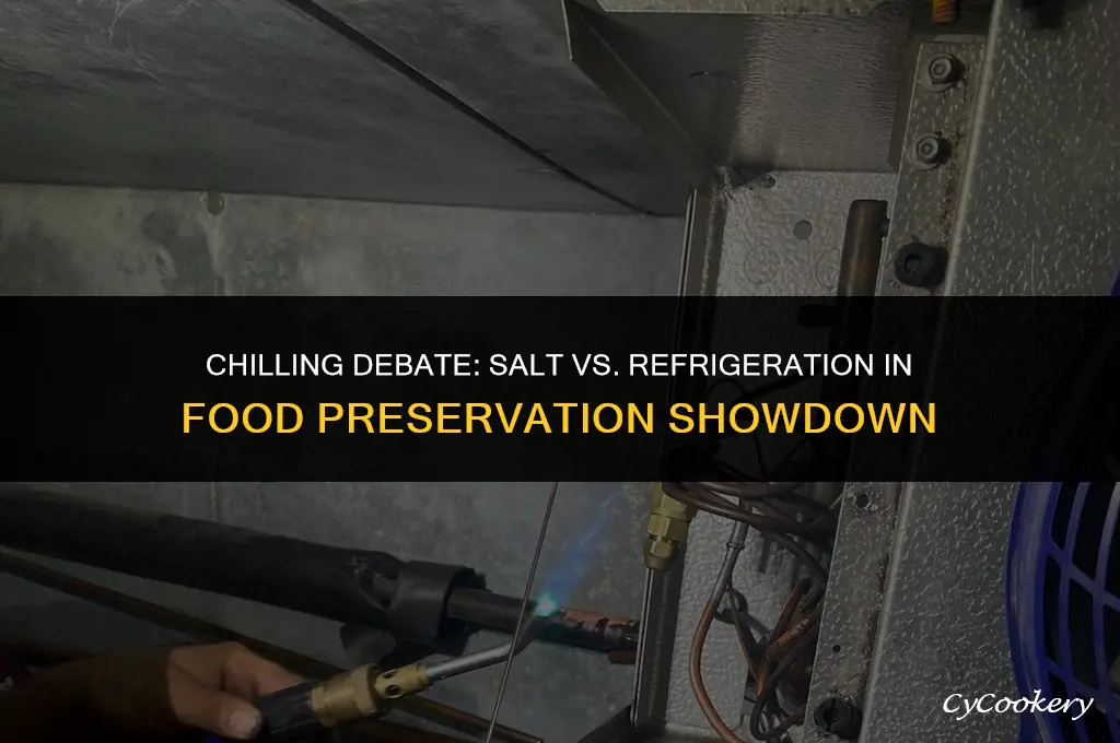 is salt or refrigeration better for preserving food