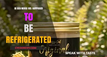 Sea Moss Gel Storage: Refrigeration Necessary or Not?
