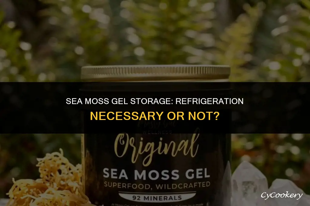 is sea moss gel supposed to be refrigerated