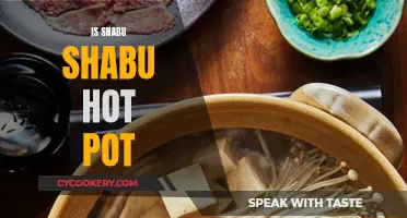 Shabu Shabu: The Art of Japanese Hot Pot