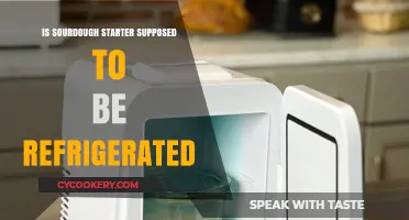 Should Sourdough Starter Be Refrigerated? Best Practices for Care