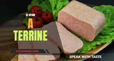 Spam's Terrine Status: A Culinary Conundrum Explored