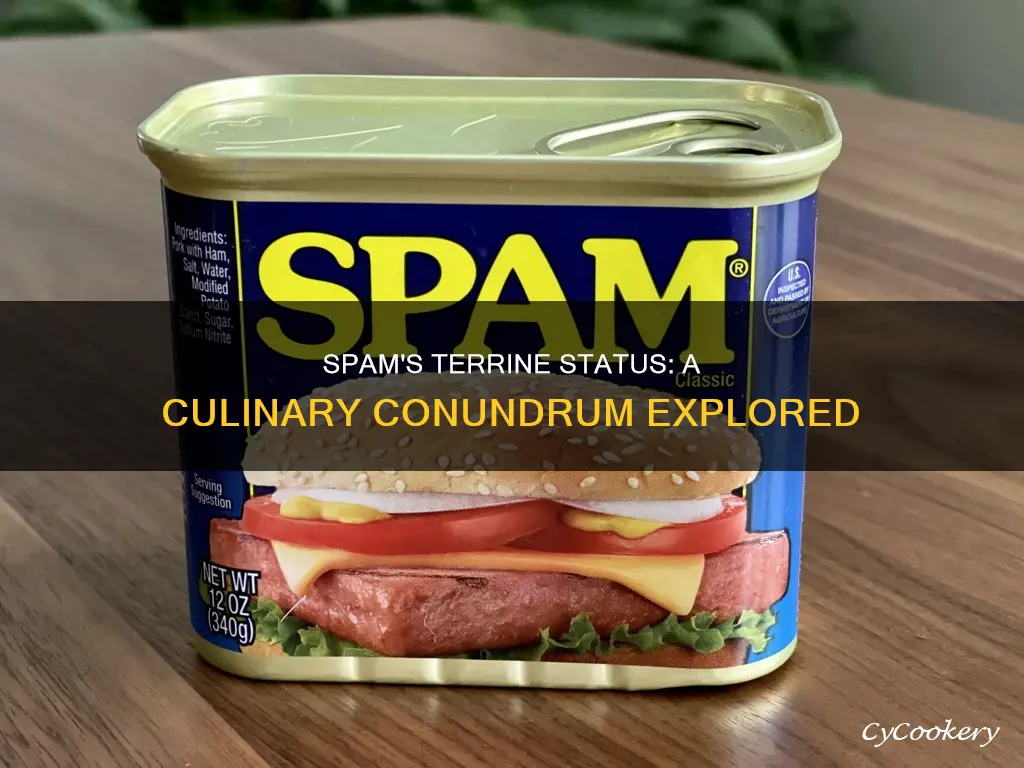 is spam a terrine