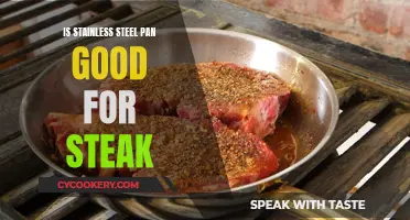 Stainless Steel Pan: Perfect Steak Companion?