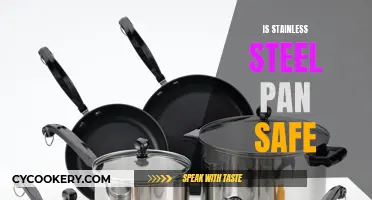 Stainless Steel Pans: Safe or Not?