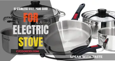 Stainless Steel Pans: Electric Stove Friend or Foe?