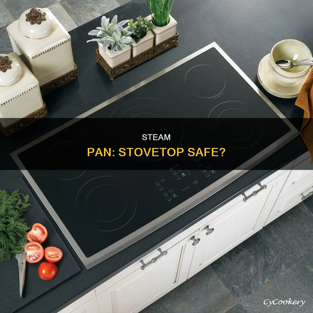 is stainless steel steam pan stovetop safe