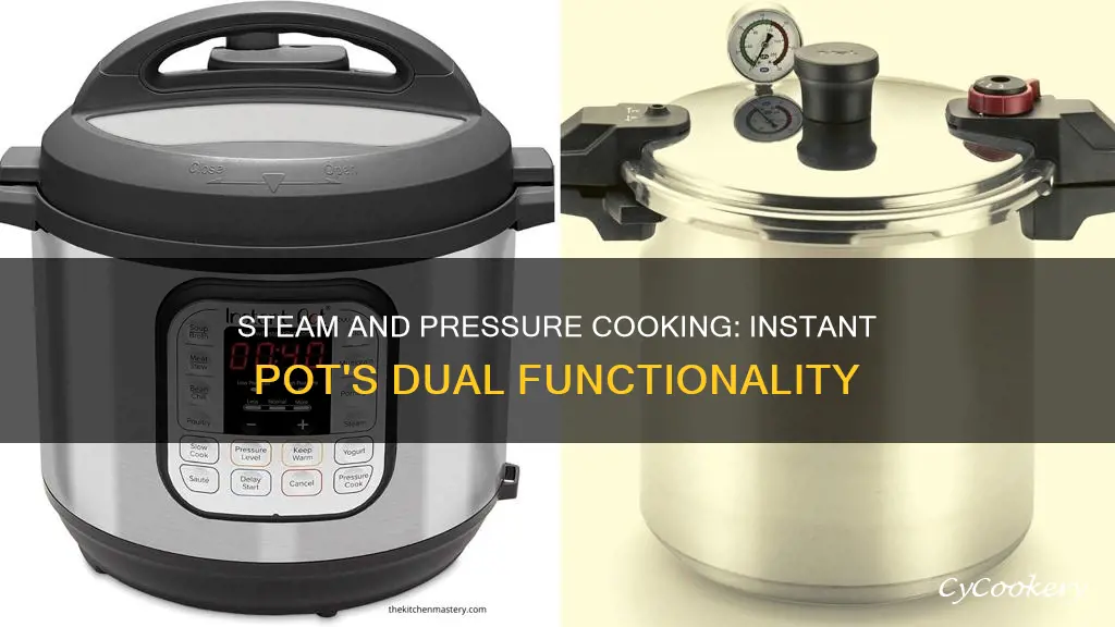 is steam and pressure cooker the same on instant pot