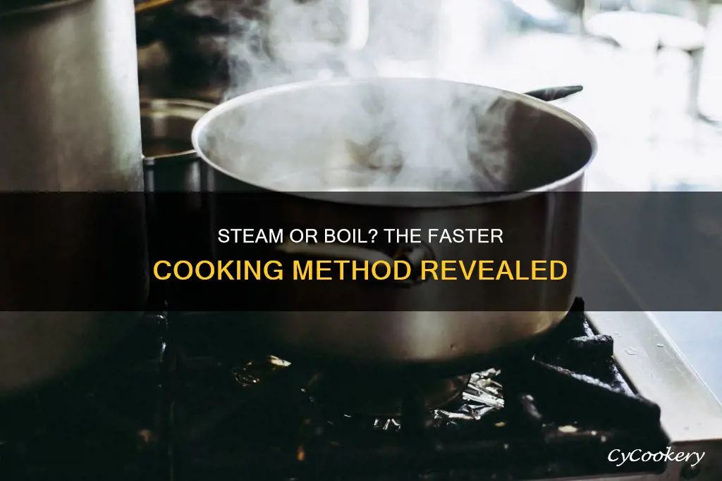 is steam faster than boiling for cooking