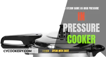 Steam vs High Pressure: What's the Real Difference?