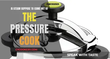 Steam Escape: Is Your Pressure Cooker Leaking?