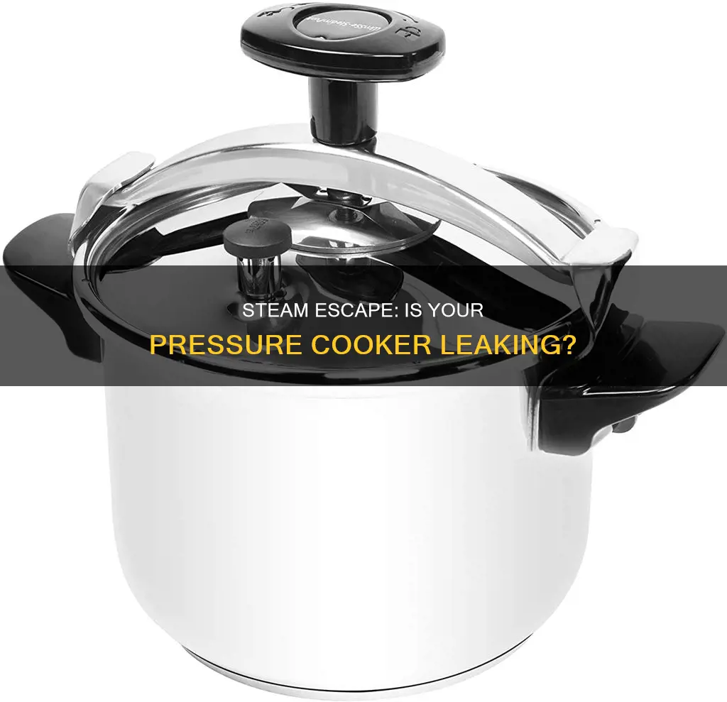 is steam suppose to come out of the pressure cook