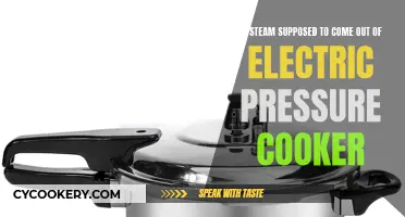 Steamy Mystery: Electric Pressure Cooker Steam, Normal or Not?