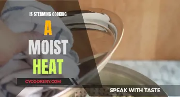 Steaming Moist Heat: Cooking's Science Explored