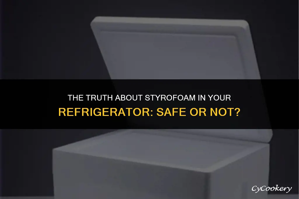 is styrofoam supposed to be in my refrigerator
