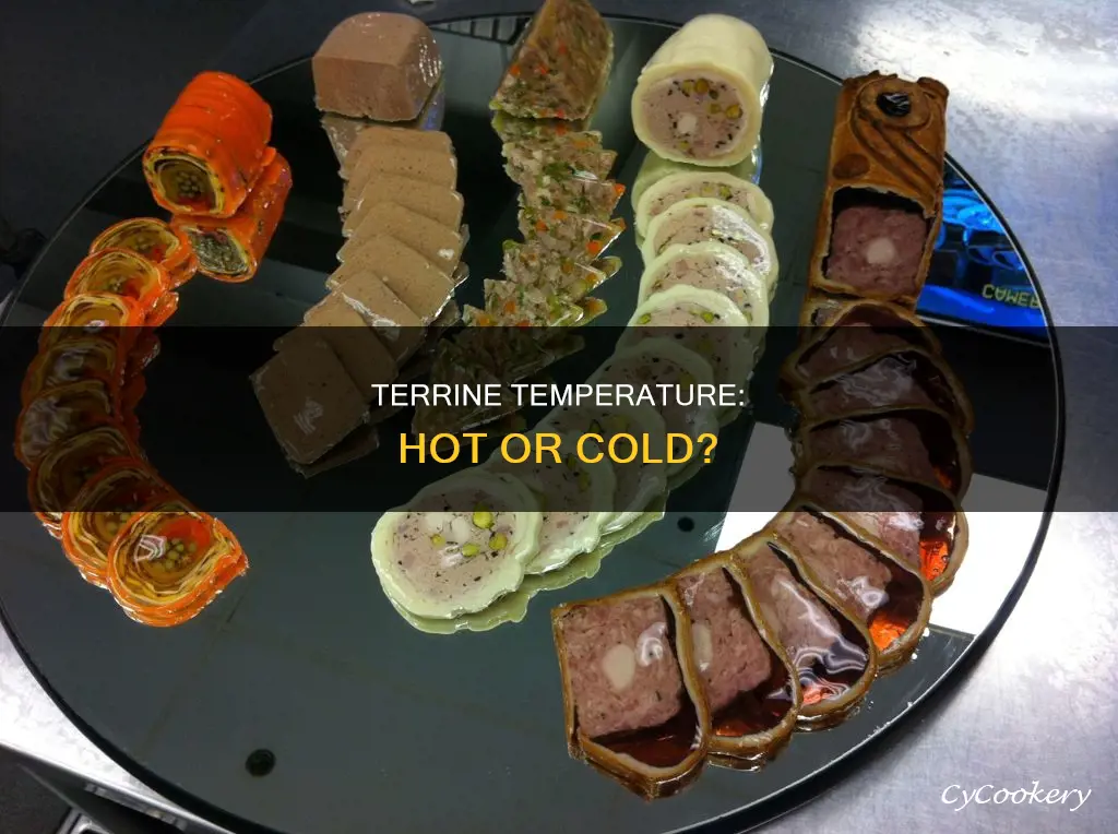 is terrine served hot or cold