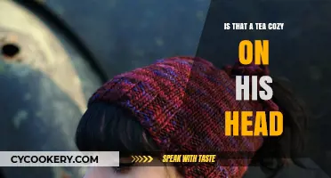 Tea Cozy or Fashion Statement? Unraveling the Headwear Mystery