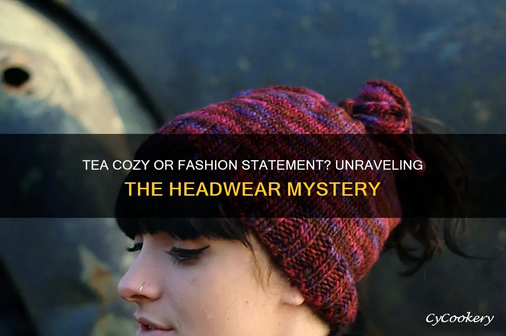 is that a tea cozy on his head