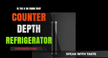 Compact Yet Spacious: The 36 Cubic Foot Counter Depth Refrigerator