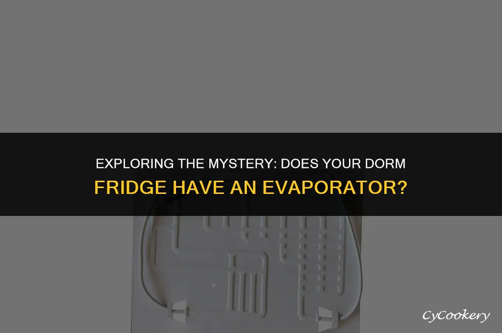 is the a evaporator on a dorm refrigerator