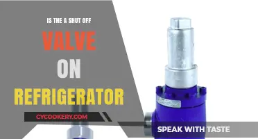 Understanding Your Fridge: The Mystery of the Shut-Off Valve