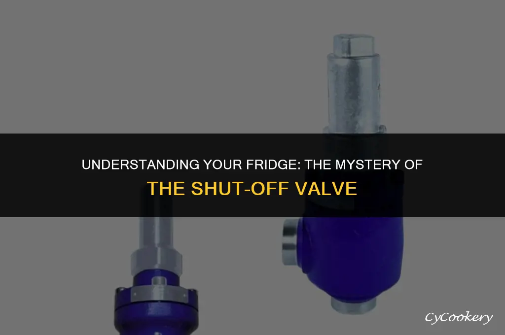 is the a shut off valve on refrigerator