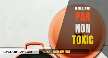 Always Pan: Non-Toxic, Safe, and Healthy?