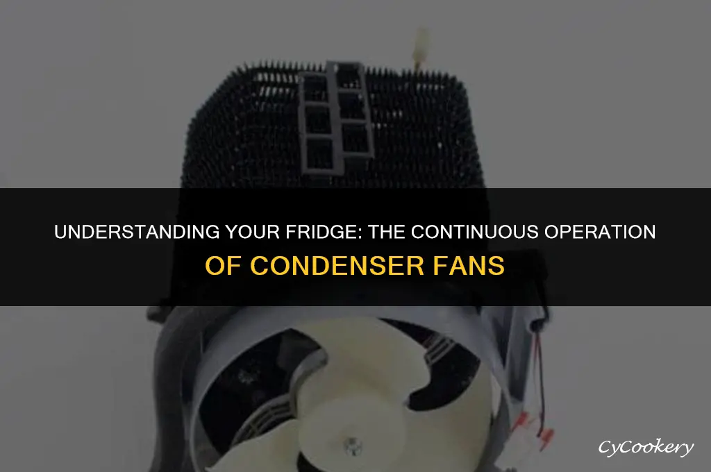is the condenser fan on a refrigerator always running