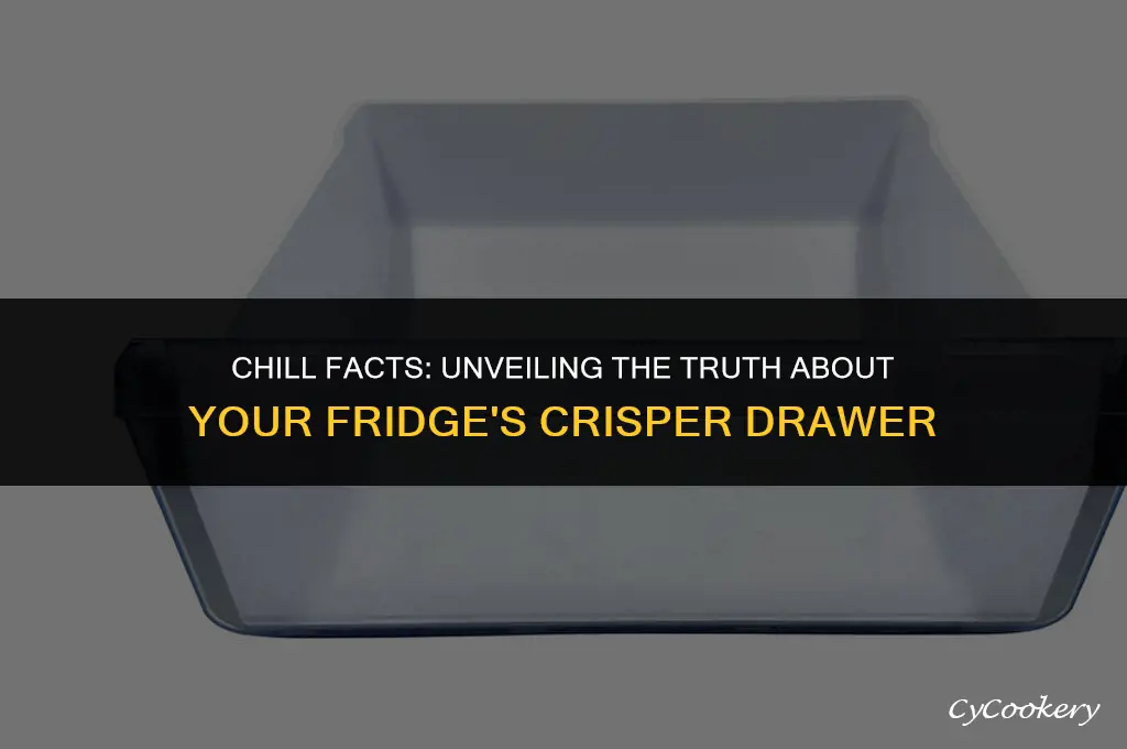 is the crisper the coldest part of refrigerator
