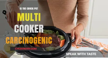 Crock-Pot Multi-Cooker Safety: Carcinogenic Concerns Debunked or Valid?