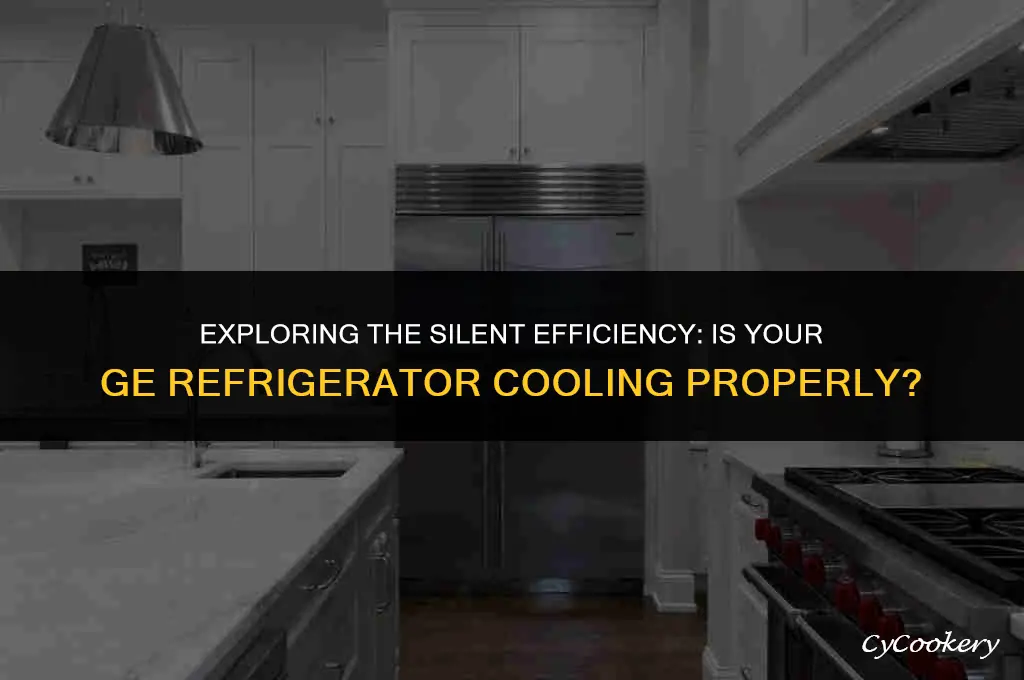 is the ge refrigerator blank when cooling properly