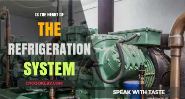 The Heart of Refrigeration: Understanding the Compressor's Critical Role
