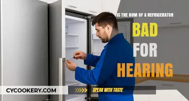 The Constant Buzz: How Refrigerator Noise Affects Your Hearing