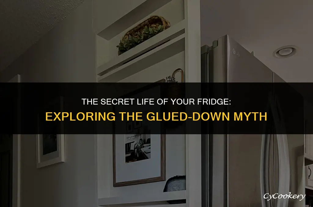 is the inside of a refrigerator glued down