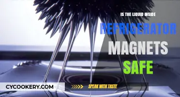 Is Refrigerator Magnet Liquid Safe? Uncovering the Truth Inside