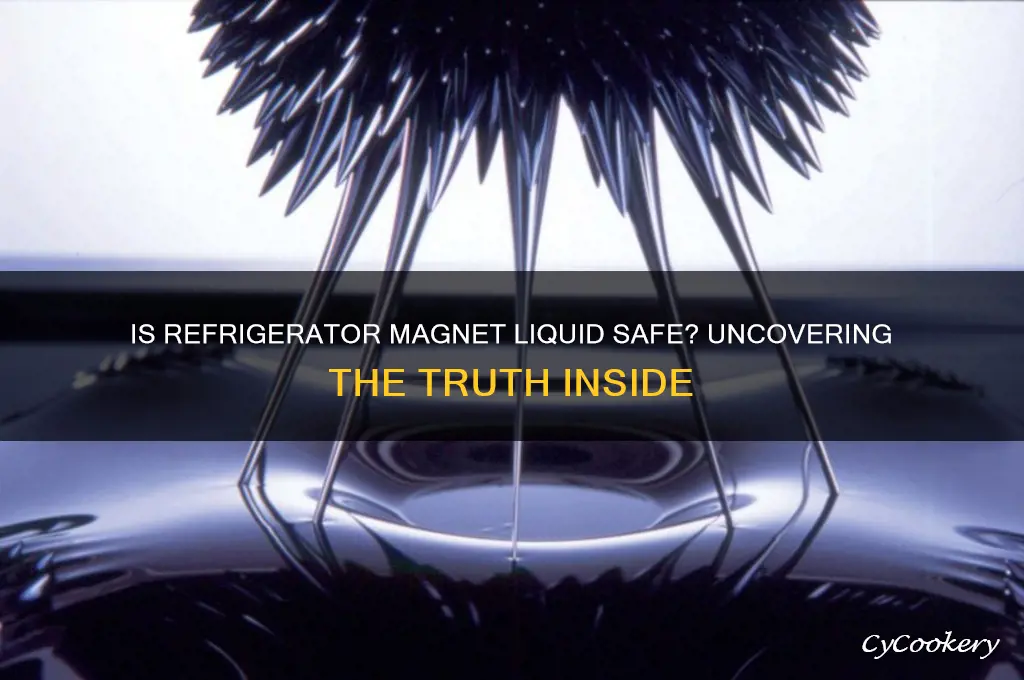 is the liquid inside refrigerator magnets safe