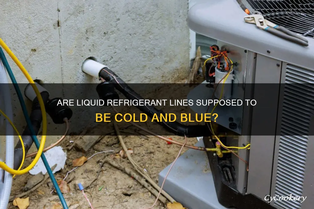 is the liquid refrigerant lines cold blue