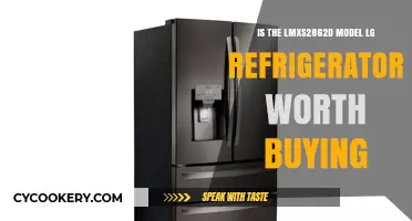 Is the LMXS2862D LG Refrigerator Worth Buying?