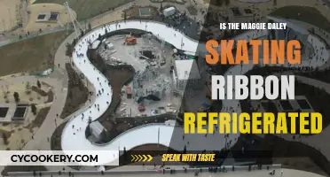Is Maggie Daley Skating Ribbon Refrigerated? Facts and Insights