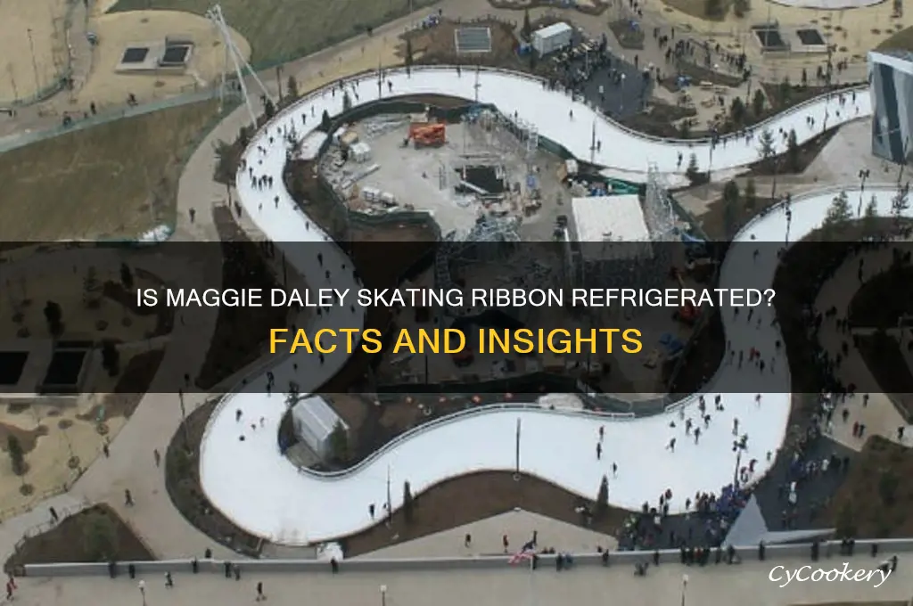 is the maggie daley skating ribbon refrigerated