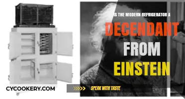 Einstein's Legacy: The Surprising Connection to Modern Refrigeration