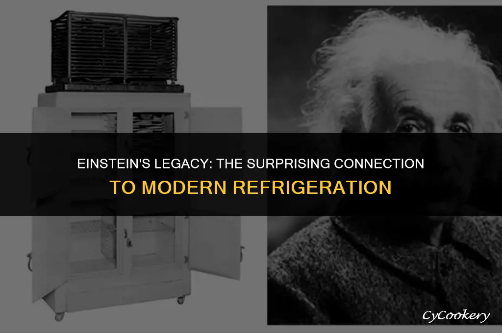 is the modern refrigerator a decendant from einstein