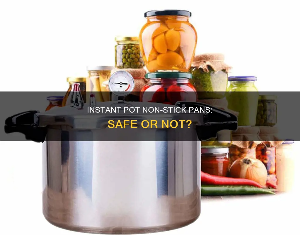 is the non stick instant pot pan safe