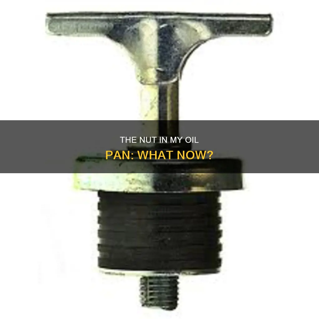 is the nut inside my oil pan while broke