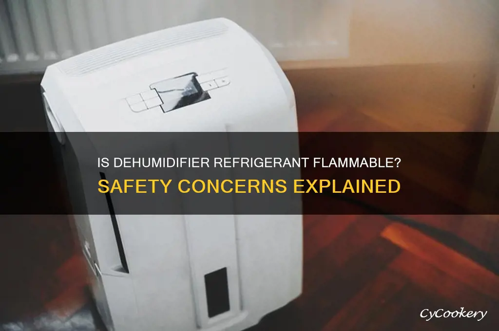 is the refrigerant in a dehumidifier flammable
