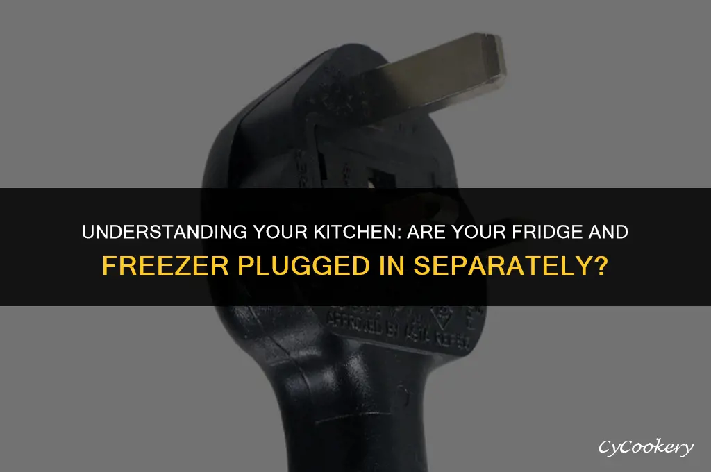 is the refrigerator and freezer plugged in separately