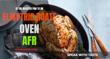 Roaster Pan vs Electric Roaster Oven