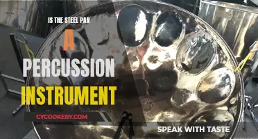 Steel Pan: Percussion Mastery